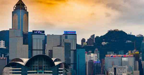 坚果官网在哪里可以找到