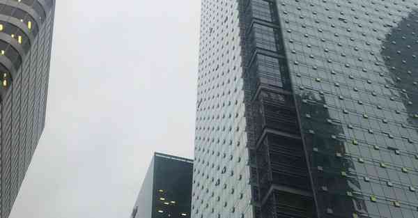 梯子 上网