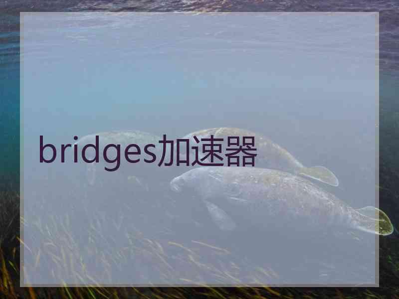 bridges加速器
