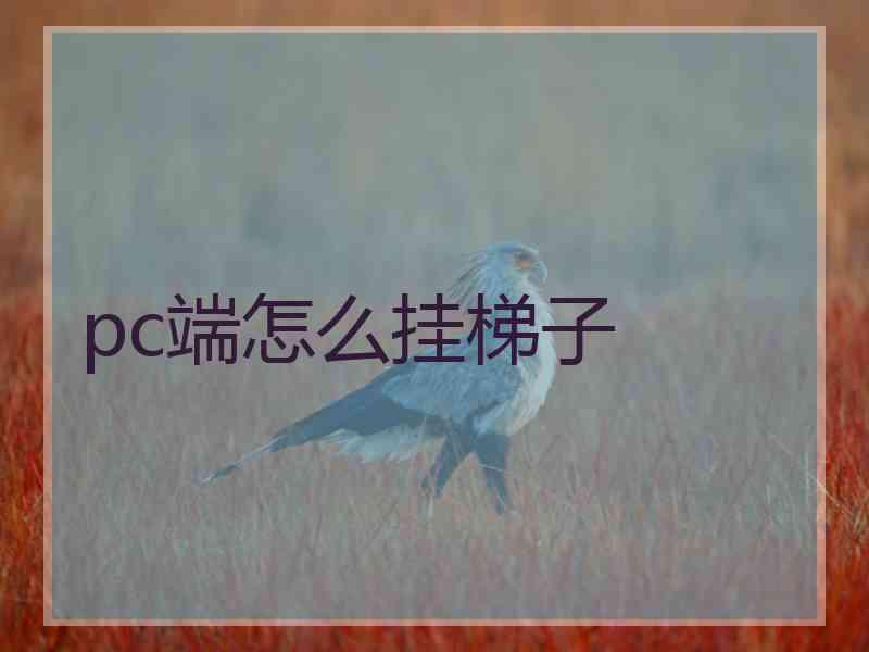 pc端怎么挂梯子