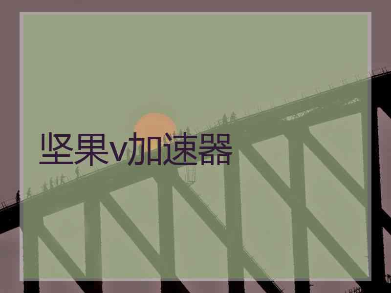 坚果v加速器