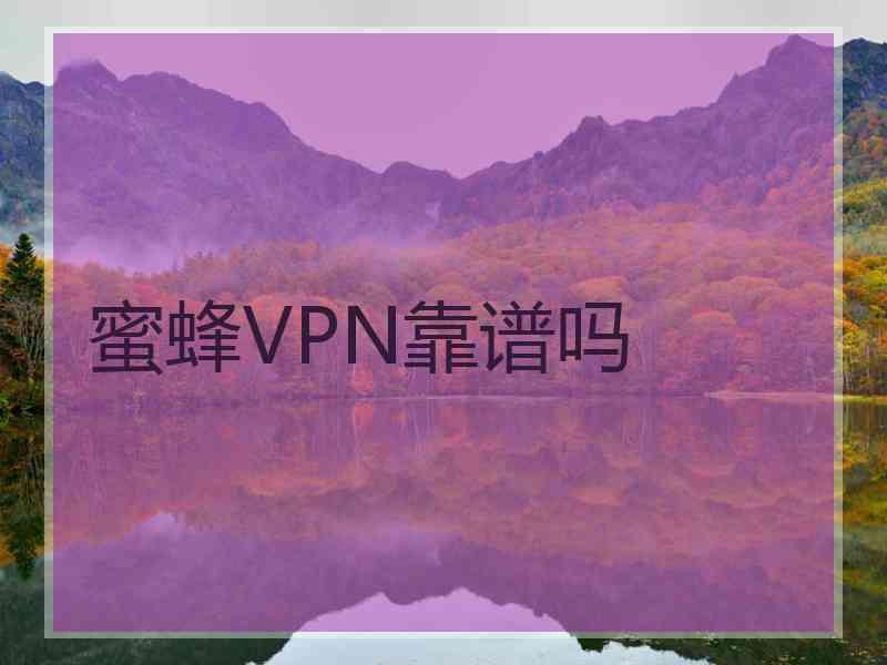 蜜蜂VPN靠谱吗