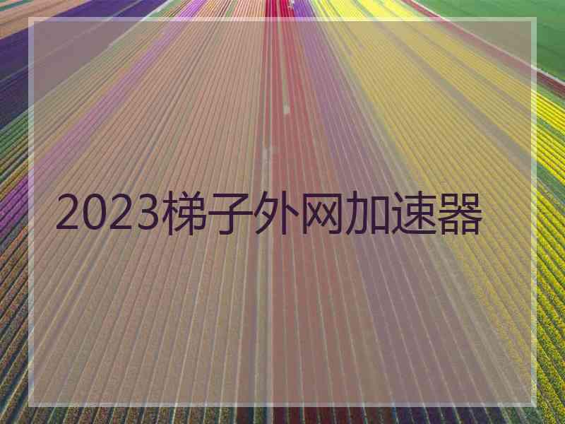 2023梯子外网加速器