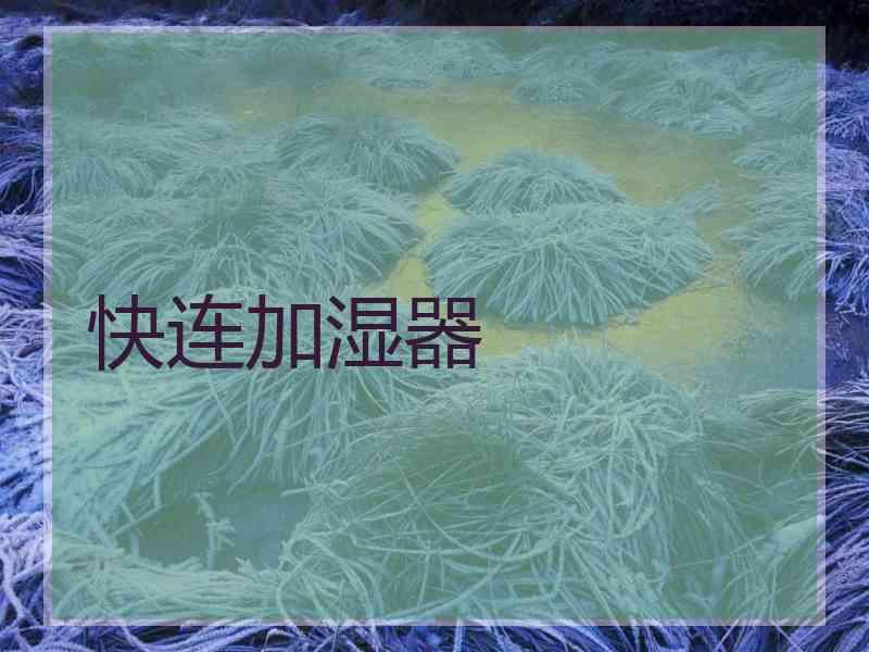 快连加湿器