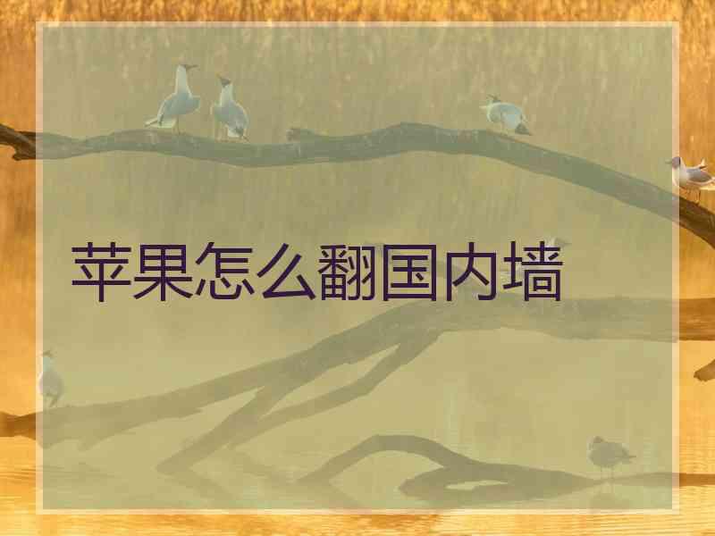 苹果怎么翻国内墙