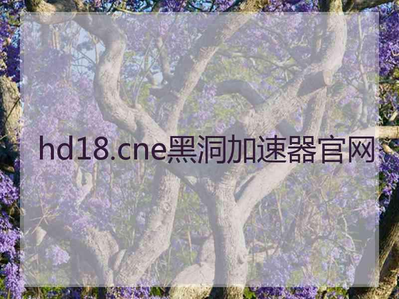 hd18.cne黑洞加速器官网