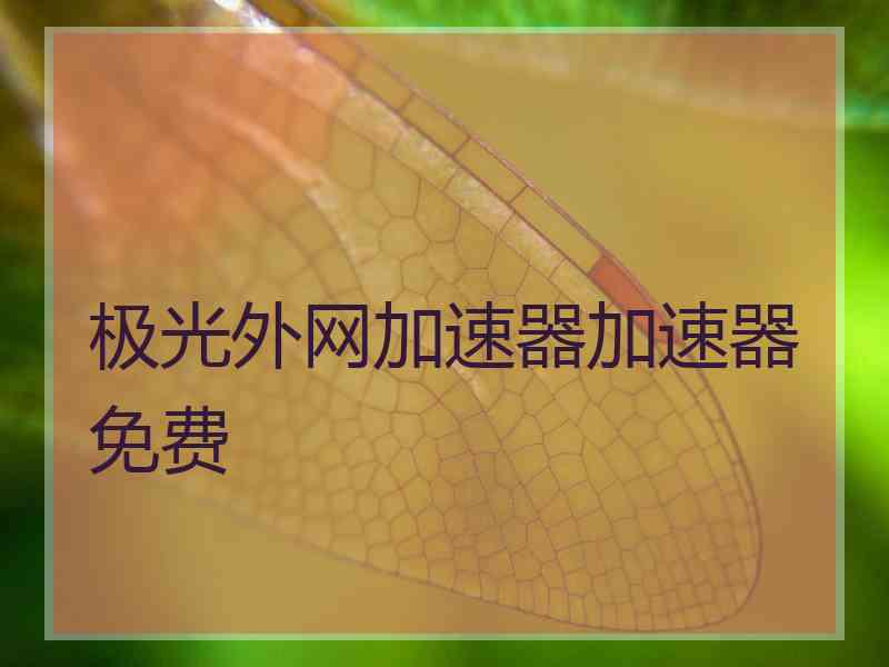 极光外网加速器加速器免费