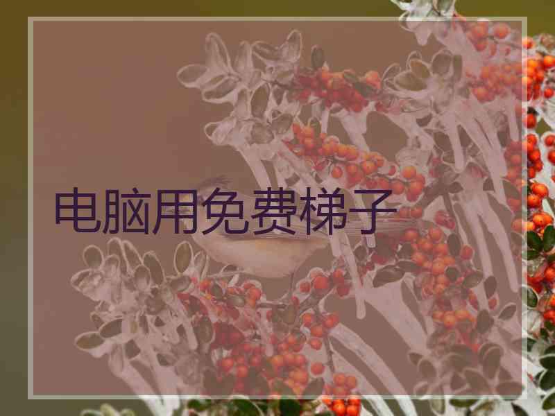 电脑用免费梯子