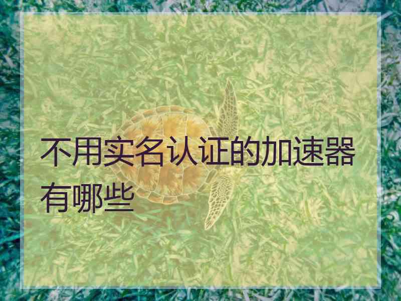 不用实名认证的加速器有哪些