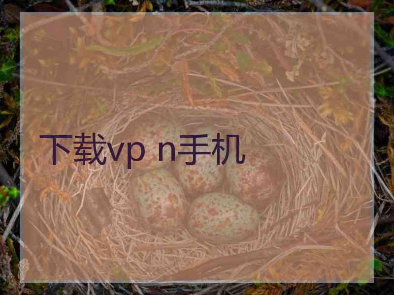 下载vp n手机