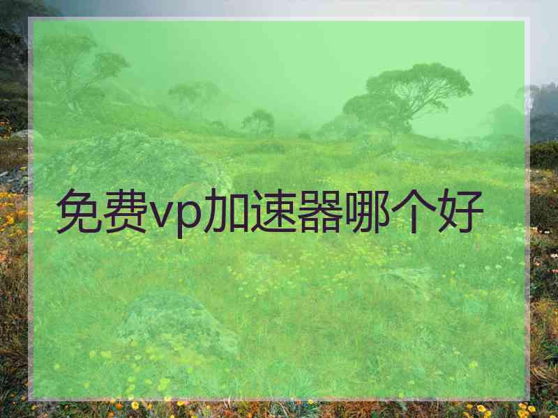 免费vp加速器哪个好