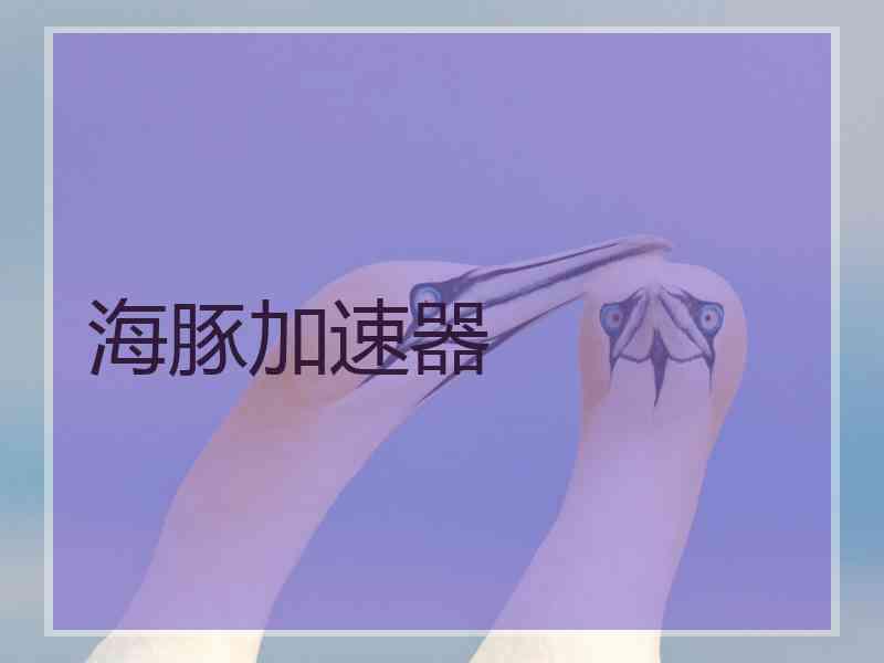 海豚加速器