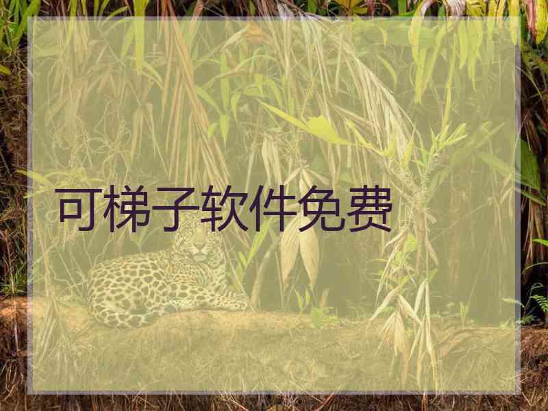 可梯子软件免费