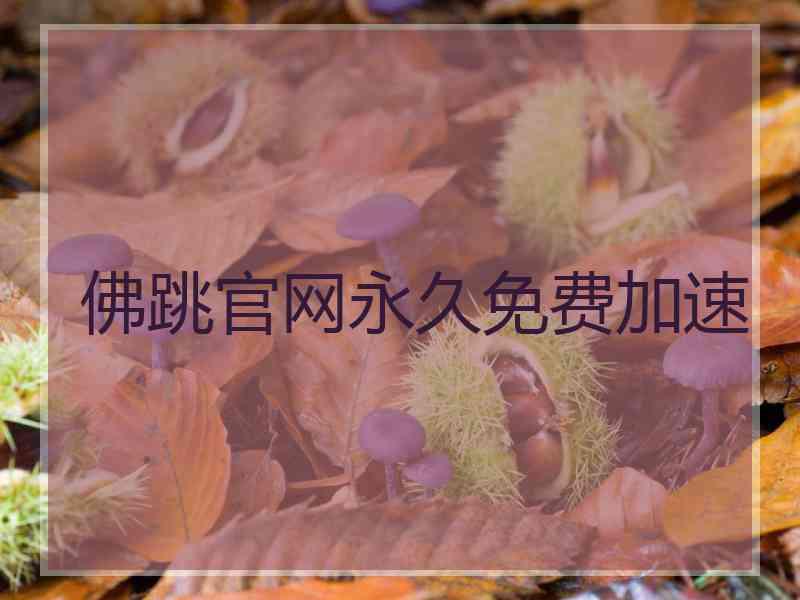 佛跳官网永久免费加速
