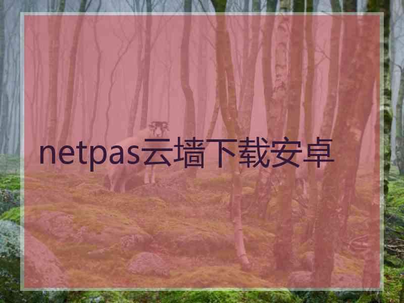 netpas云墙下载安卓
