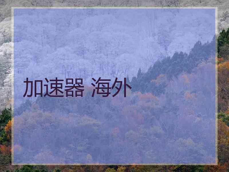 加速器 海外