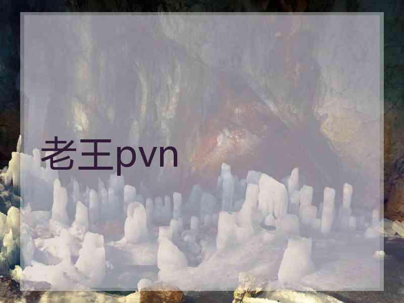 老王pvn