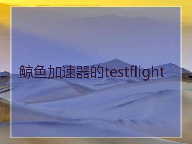 鲸鱼加速器的testflight