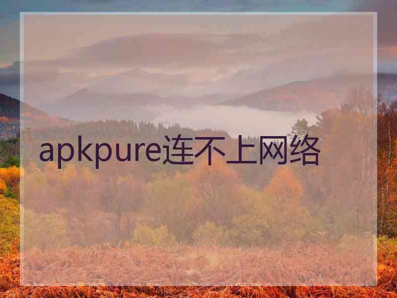 apkpure连不上网络