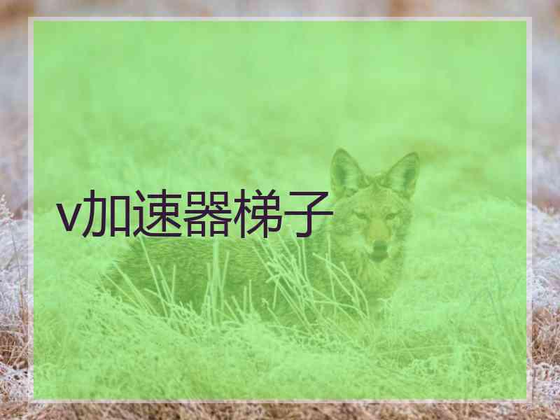 v加速器梯子