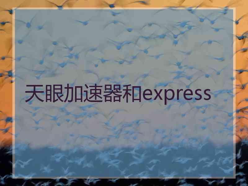 天眼加速器和express