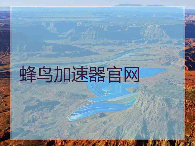 蜂鸟加速器官网