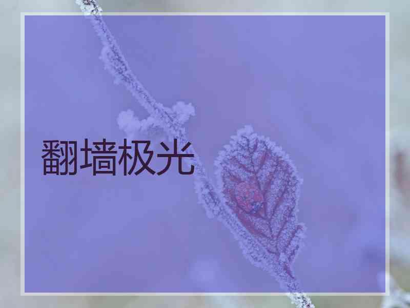 翻墙极光