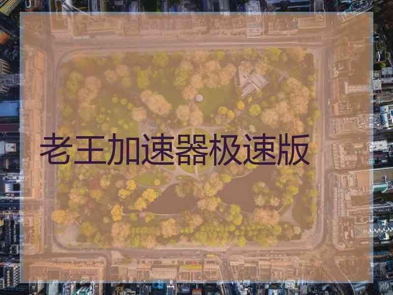 老王加速器极速版