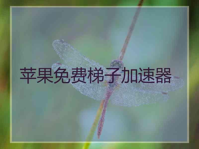 苹果免费梯子加速器