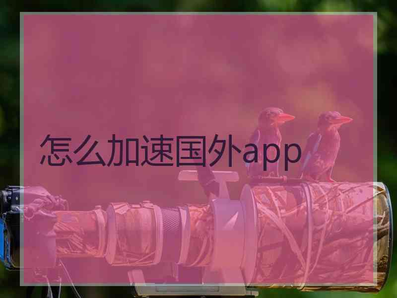 怎么加速国外app