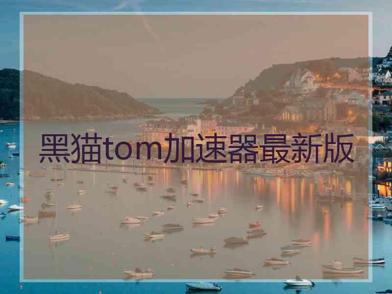 黑猫tom加速器最新版