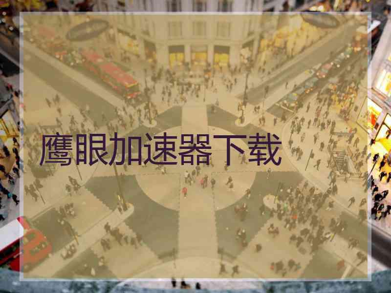 鹰眼加速器下载