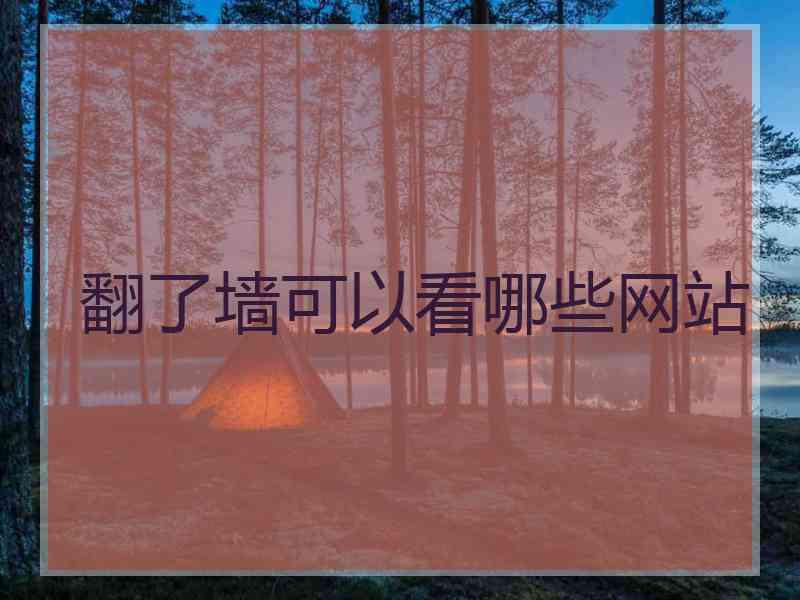 翻了墙可以看哪些网站