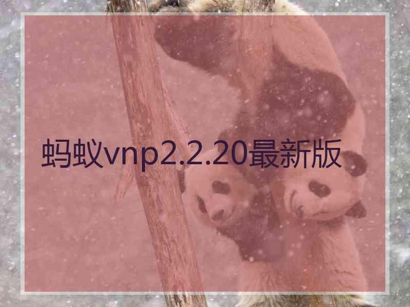 蚂蚁vnp2.2.20最新版