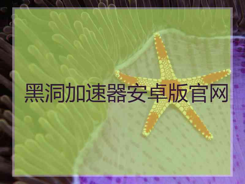 黑洞加速器安卓版官网