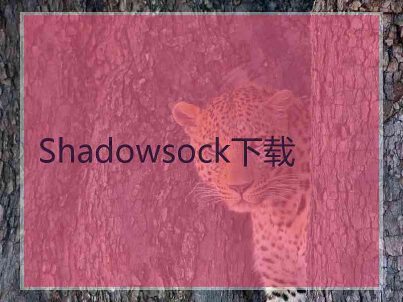 Shadowsock下载