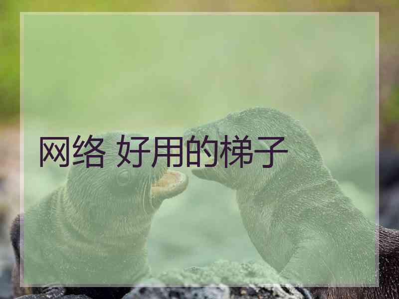 网络 好用的梯子