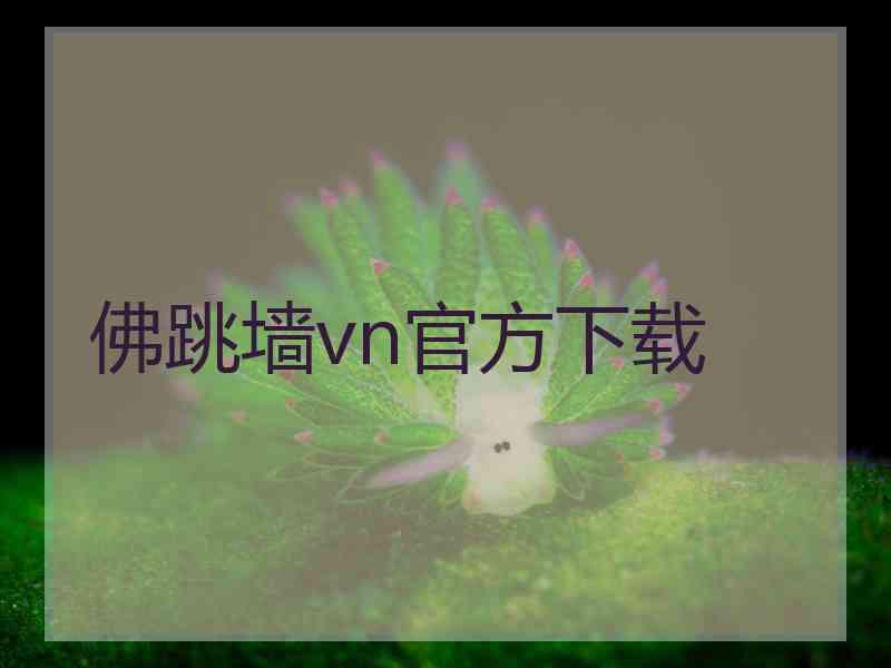 佛跳墙vn官方下载