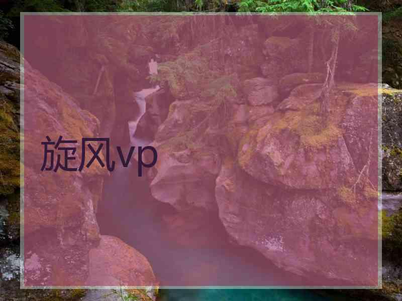 旋风vp