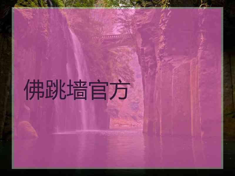 佛跳墙官方