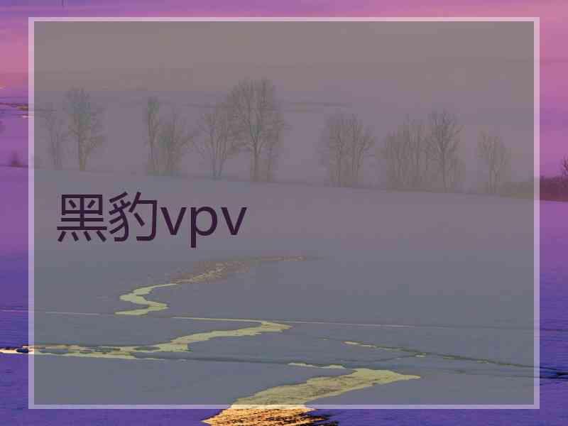 黑豹vpv