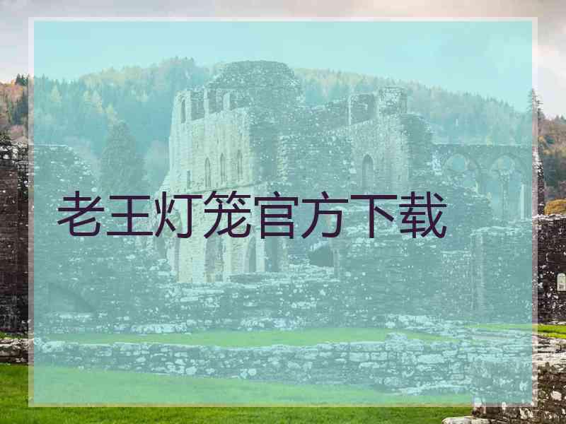 老王灯笼官方下载