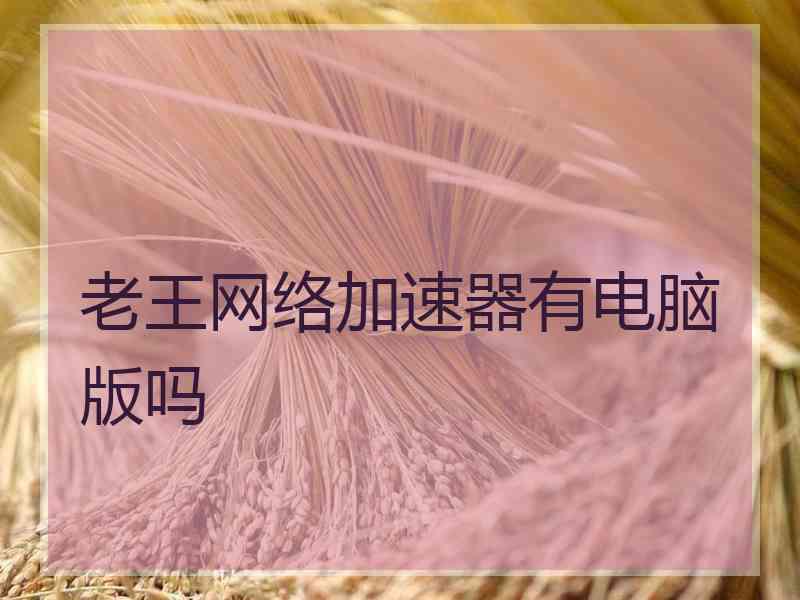老王网络加速器有电脑版吗