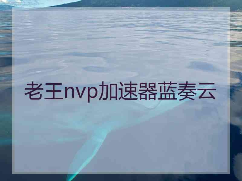 老王nvp加速器蓝奏云