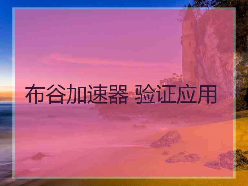 布谷加速器 验证应用