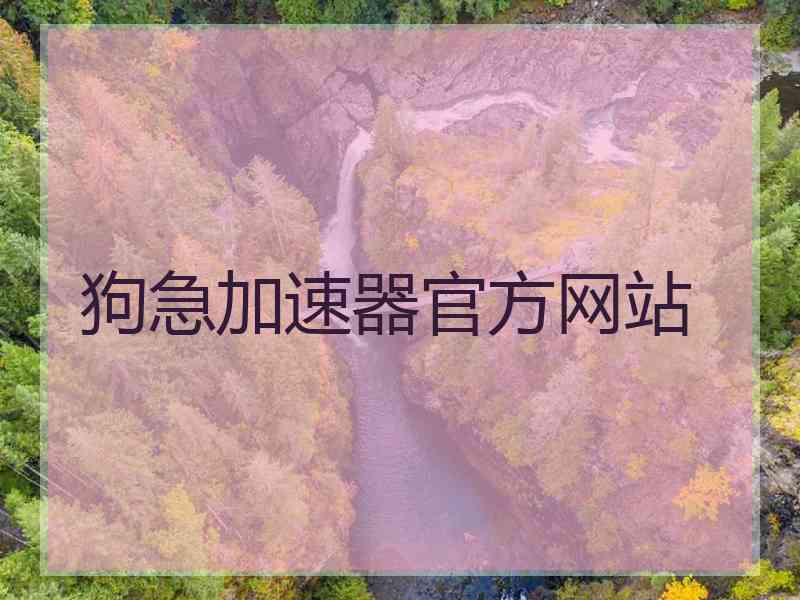 狗急加速器官方网站