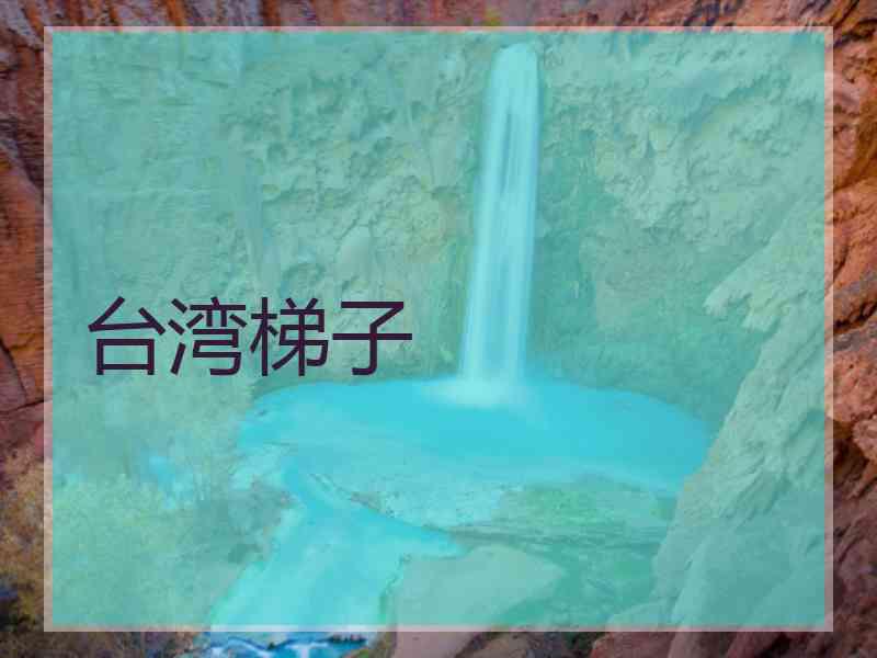 台湾梯子