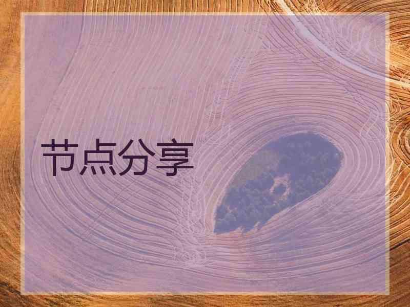 节点分享