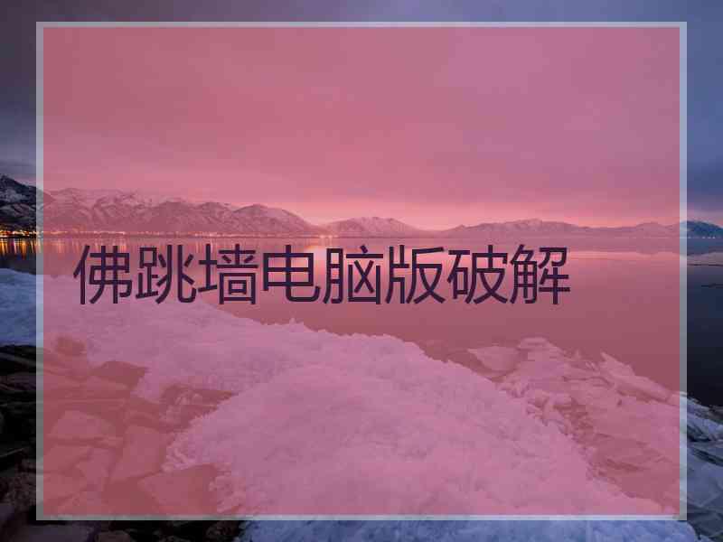 佛跳墙电脑版破解