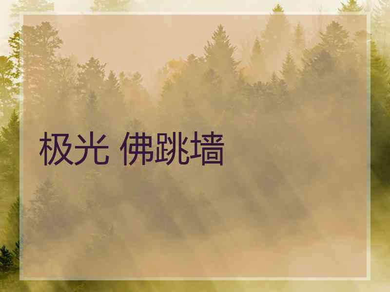 极光 佛跳墙